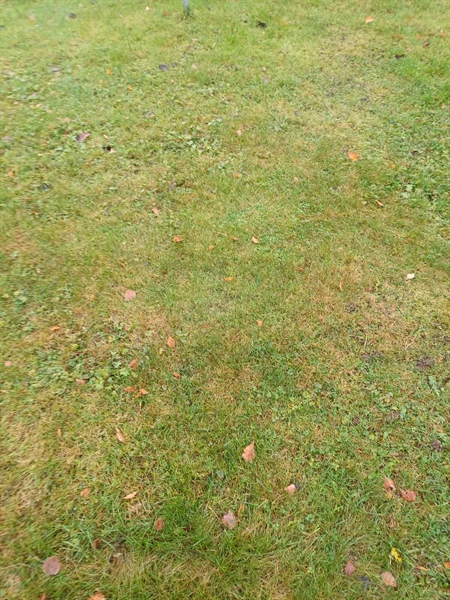 Grave number: JÄ 1 B 4047, 4048, 4049