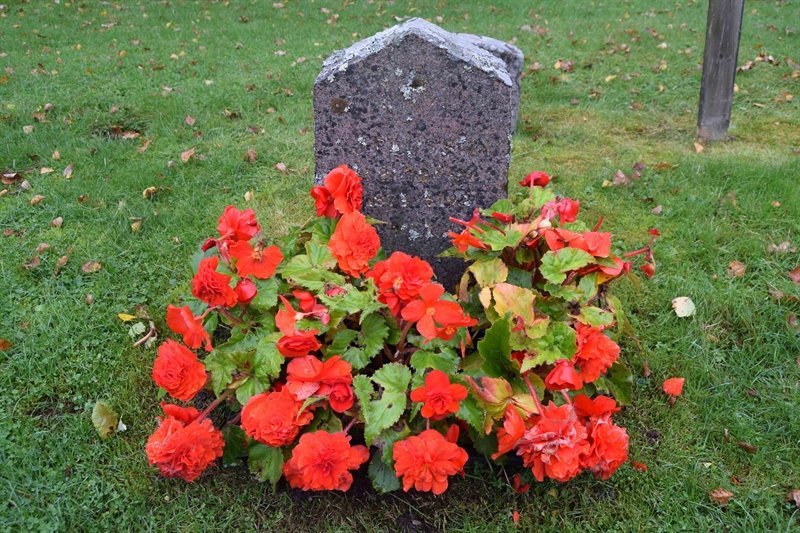 Grave number: 01 6    69