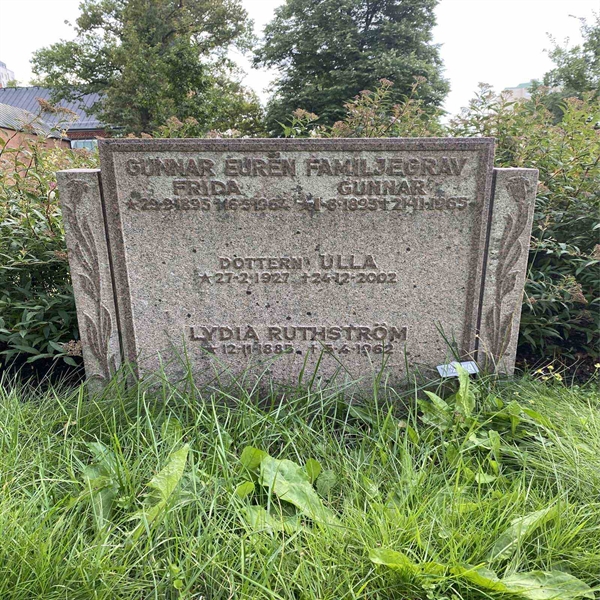 Gravnummer: 1 T   244