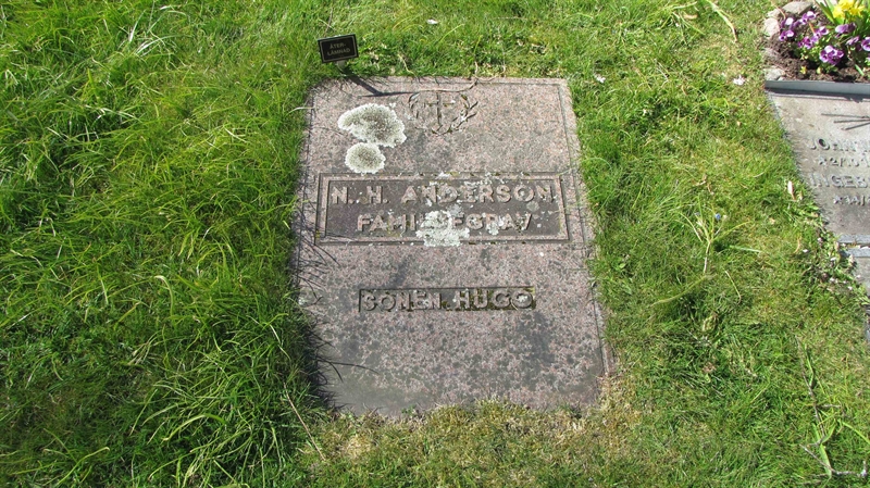 Grave number: FK SYREN   249