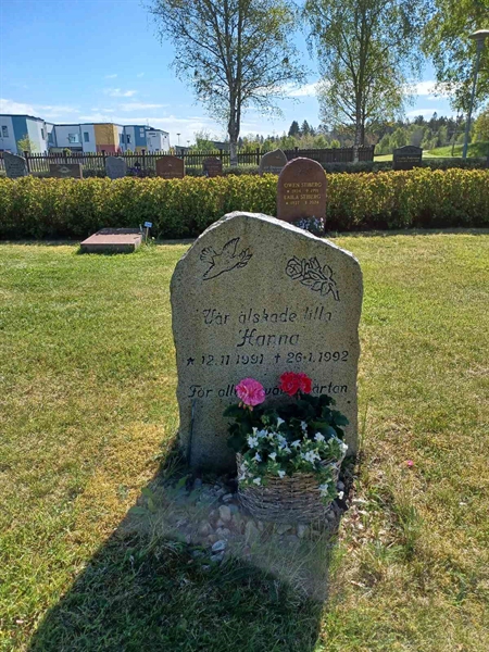 Hautatunnus: OS ÖK 340, 341, 342