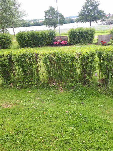 Gravnummer: GK F 5   625