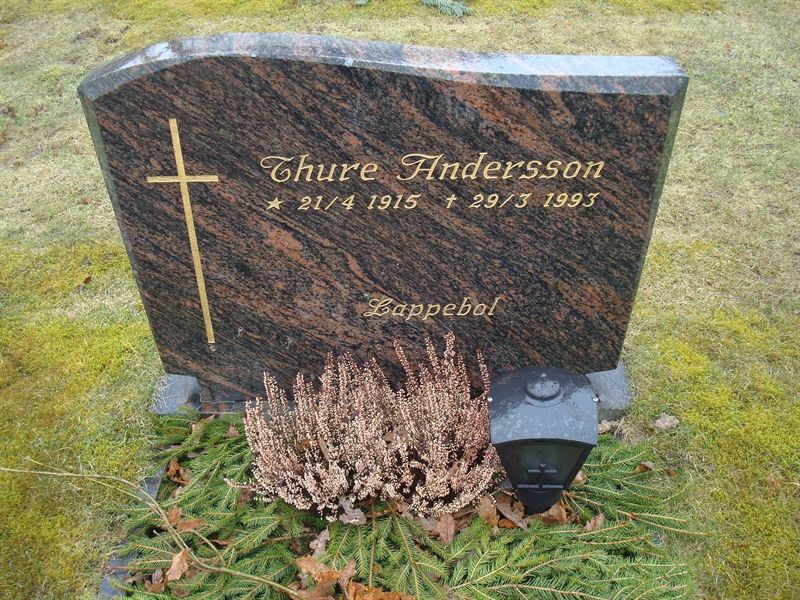 Grave number: BR D   219, 220