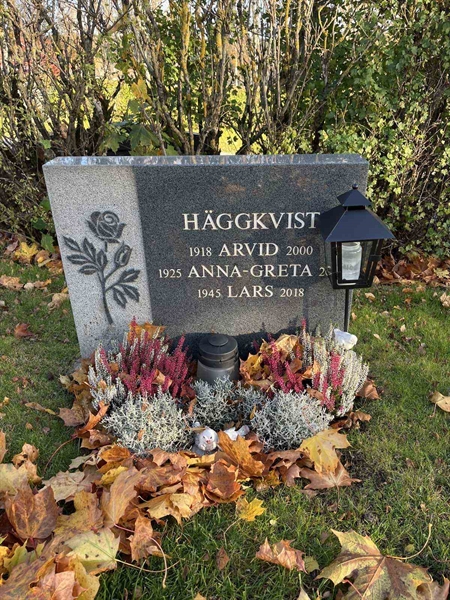 Gravnummer: 3084 J    42-43