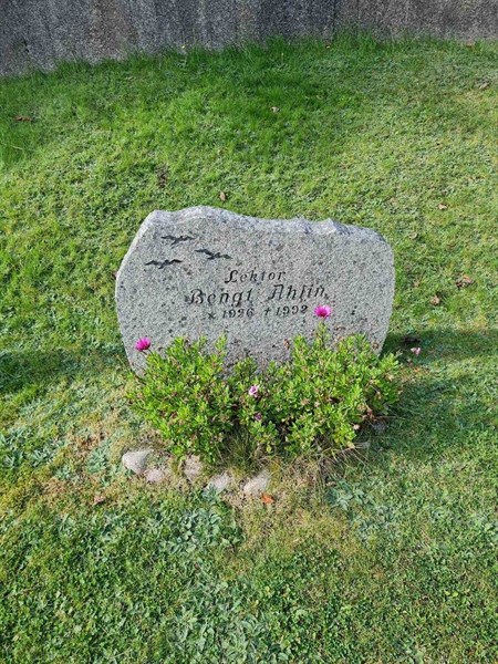 Grave number: F 0    45
