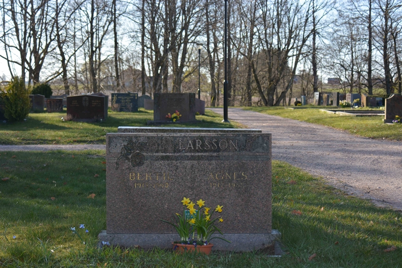 Grave number: B3 3A   223, 224