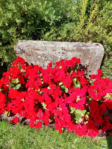 Hautatunnus: 1 D   009