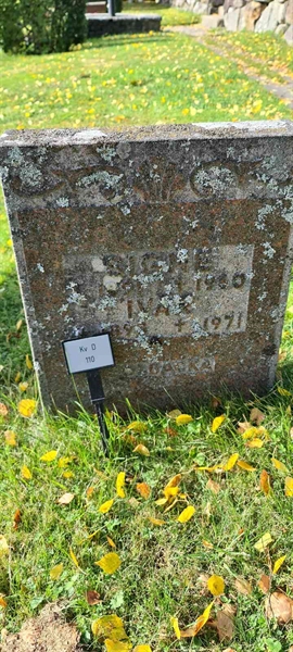 Grave number: M D  110