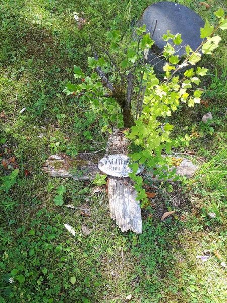 Hautatunnus: GK A 4    39H