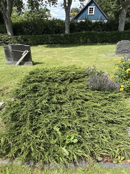 Grave number: ON D   194