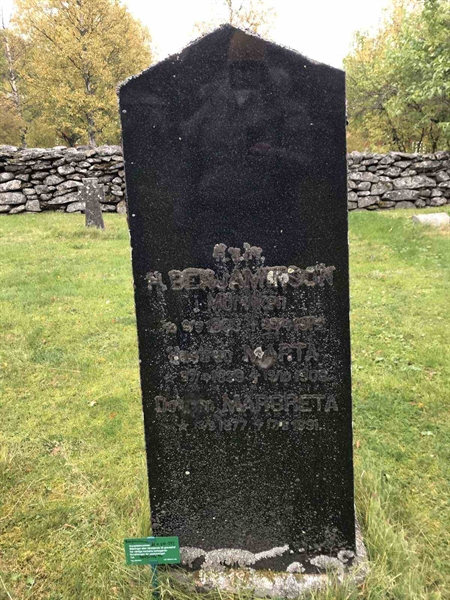 Grave number: ÅR A   241, 242