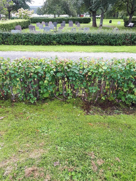 Grave number: NK F A   227