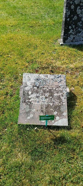 Grave number: 3 Nya G    48-49