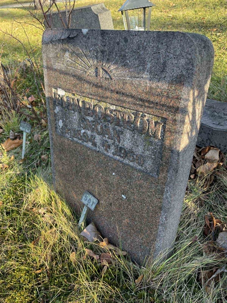 Gravnummer: GK A 3   581