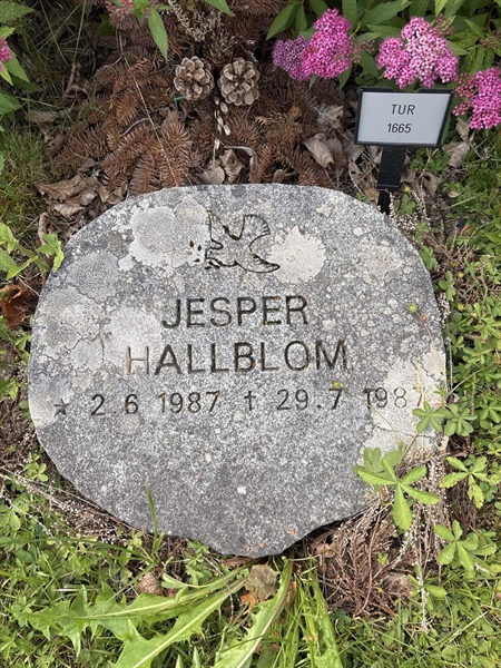 Grave number: TUR  1665