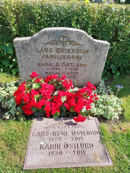 Gravnummer: 1 D   102