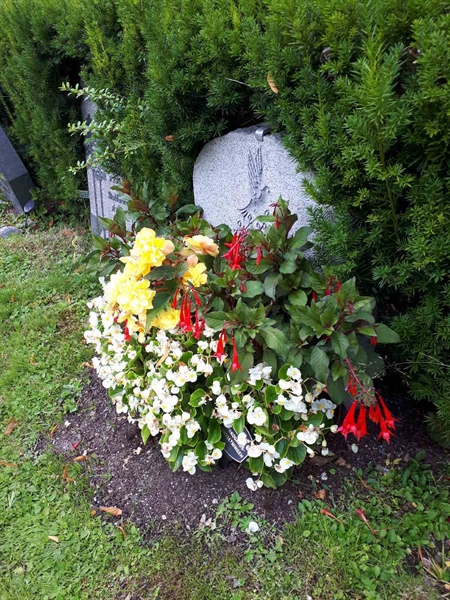 Gravnummer: GK U 4   102