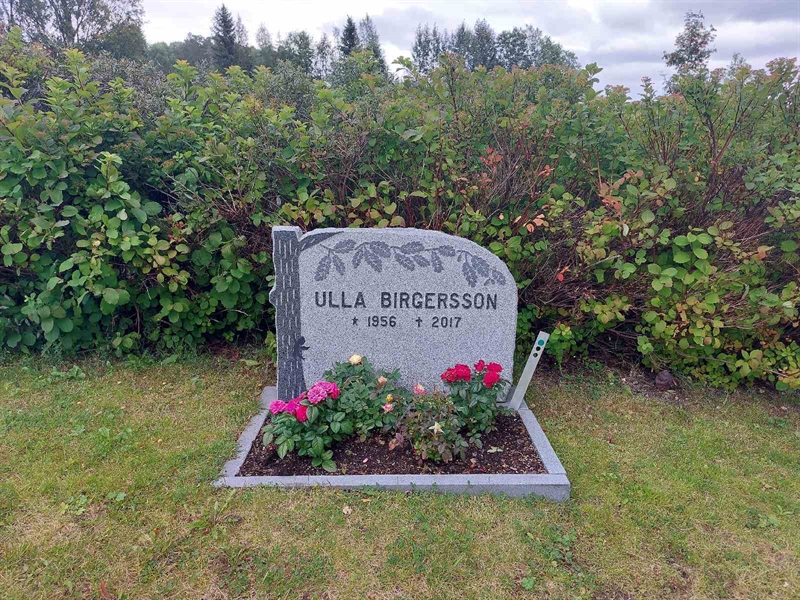 Grave number: OÖ N     6