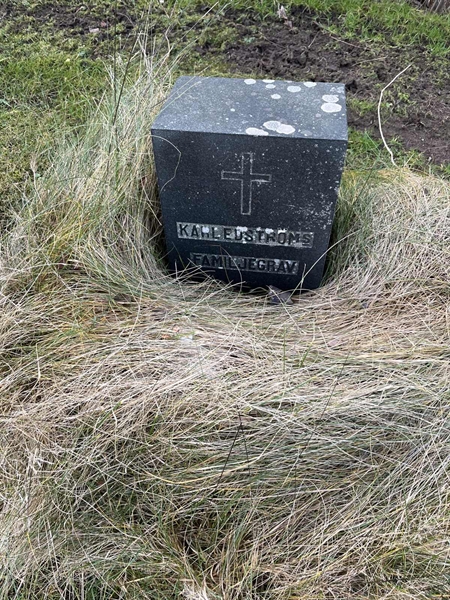 Hautatunnus: Vårv Kv1 52