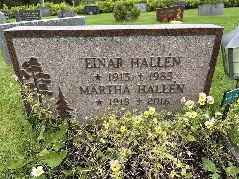 Hautatunnus: SÄ NYA   500-501