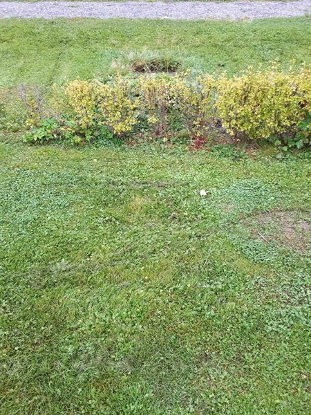 Grave number: NK F G   123