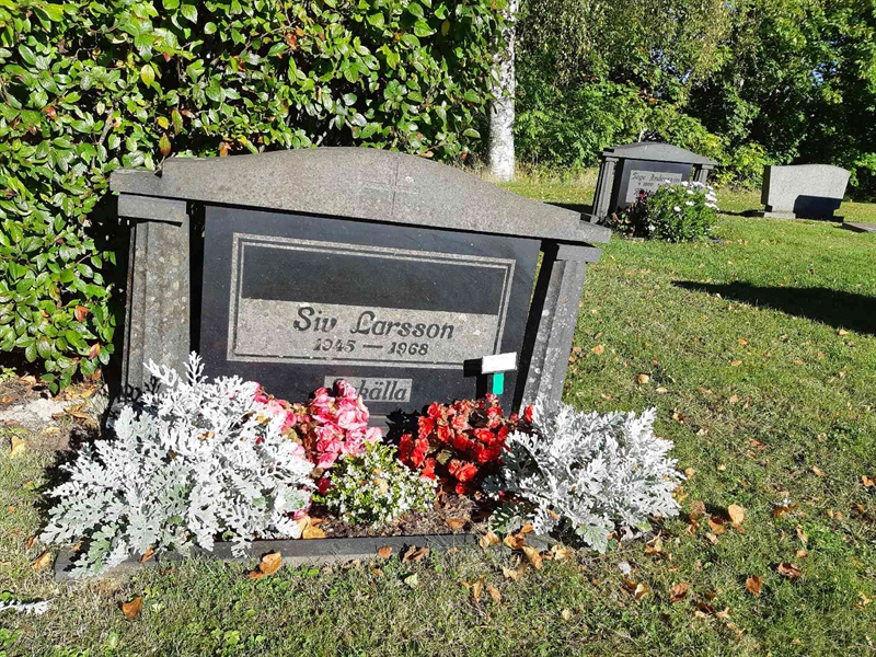 Hautatunnus: Fr 7    28-29