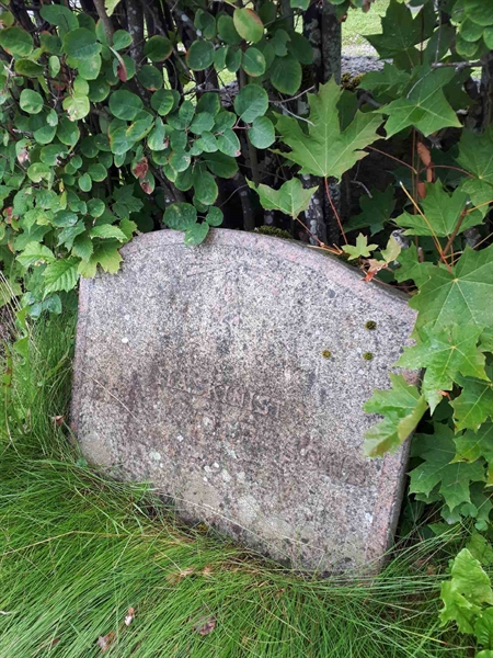 Hautatunnus: NK F G   138