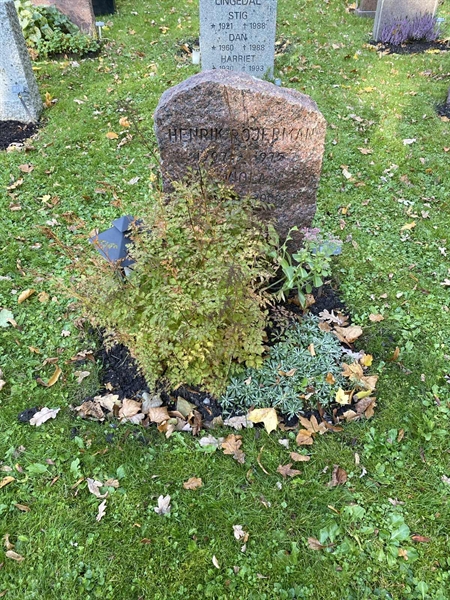 Hautatunnus: 1 H   462