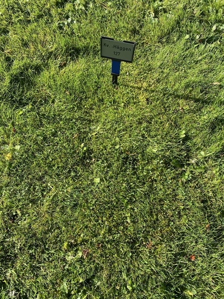 Grave number: 2 H   127