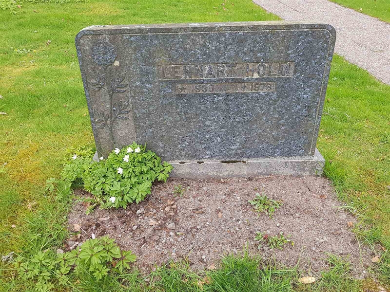 Grave number: 01  3353