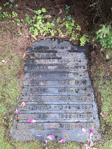 Gravnummer: GK F 5   435