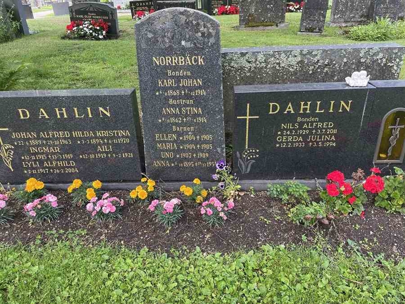 Gravnummer: N 4 3   368