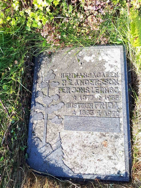 Hautatunnus: NK F G   213