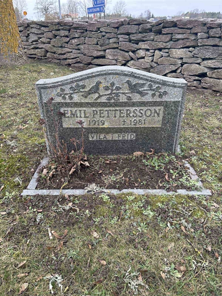 Gravnummer: LE   564