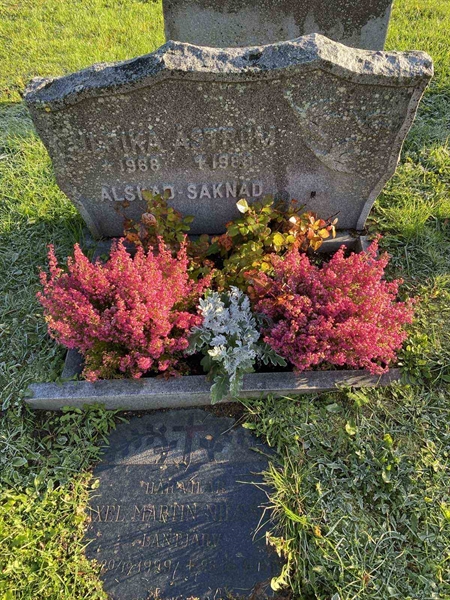 Hautatunnus: 2 08 393