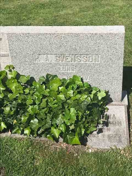 Grave number: BR B   371, 372