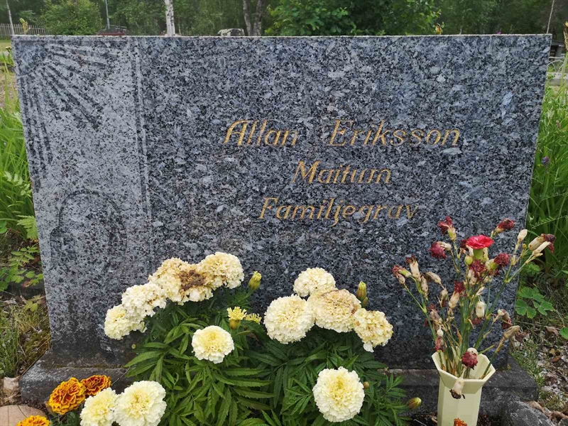 Hautatunnus: SK N    31