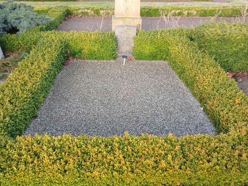 Grave number: TI A 558, 559
