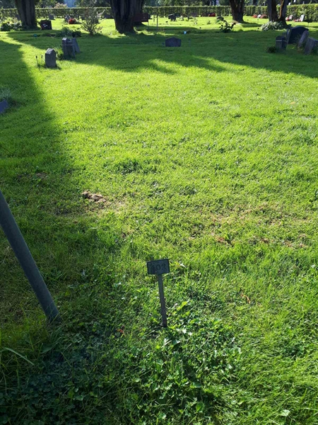 Gravnummer: NK A A   401