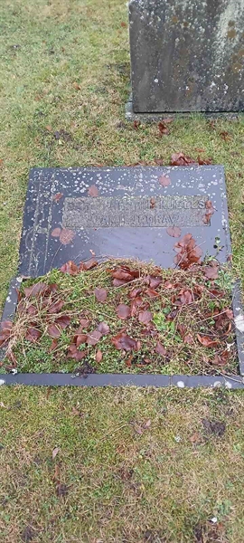 Gravnummer: 3 Nya E     2-3