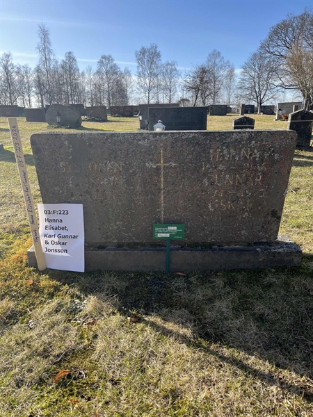 Hautatunnus: 03 F   223