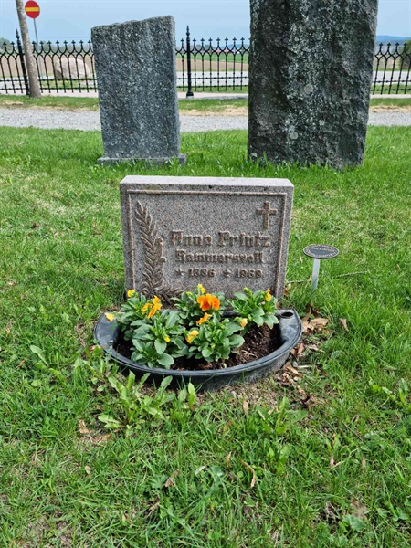 Grave number: D G 3   723