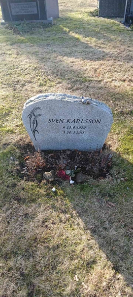 Hautatunnus: 3 Nya E   123