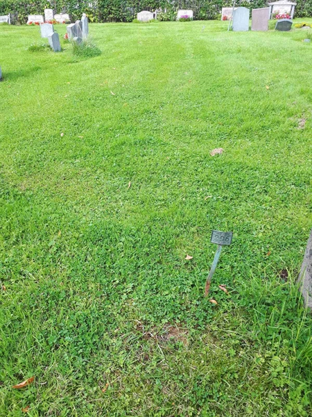 Gravnummer: NK A A   296