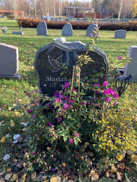 Grave number: 3 254