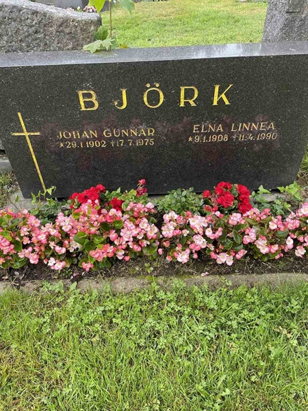 Gravnummer: N 4 3   356