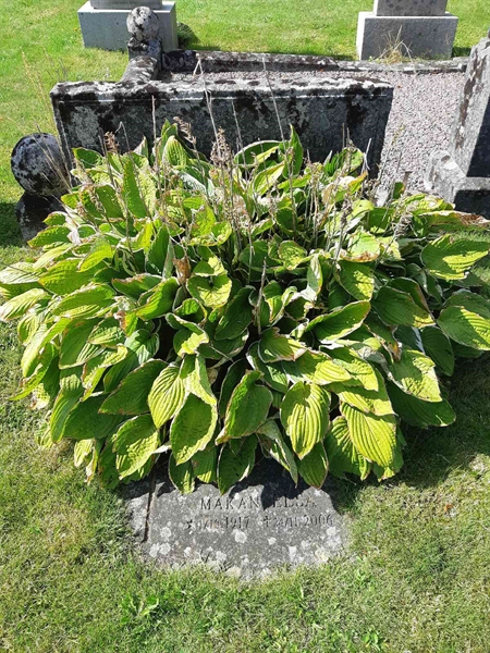 Hautatunnus: Fr 2 441
