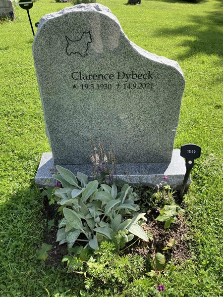 Grave number: 1 15    19