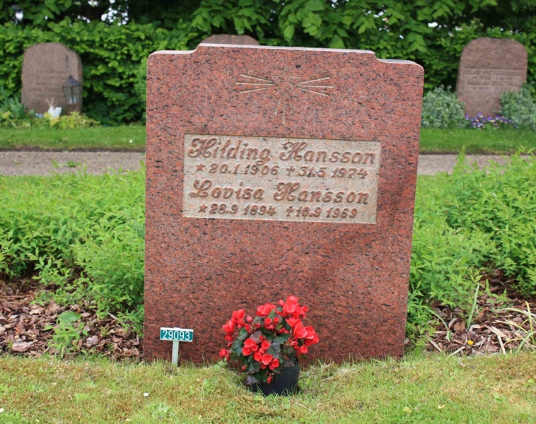 Grave number: Ö 29   131, 132