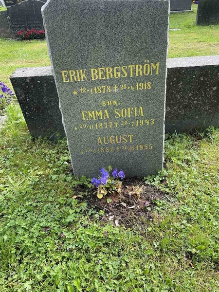 Grave number: N 4 2   248